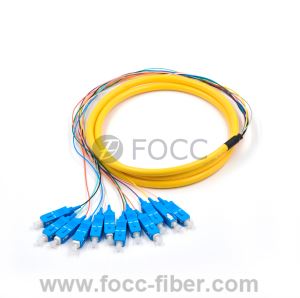 Pigtail SC a 12 fibre